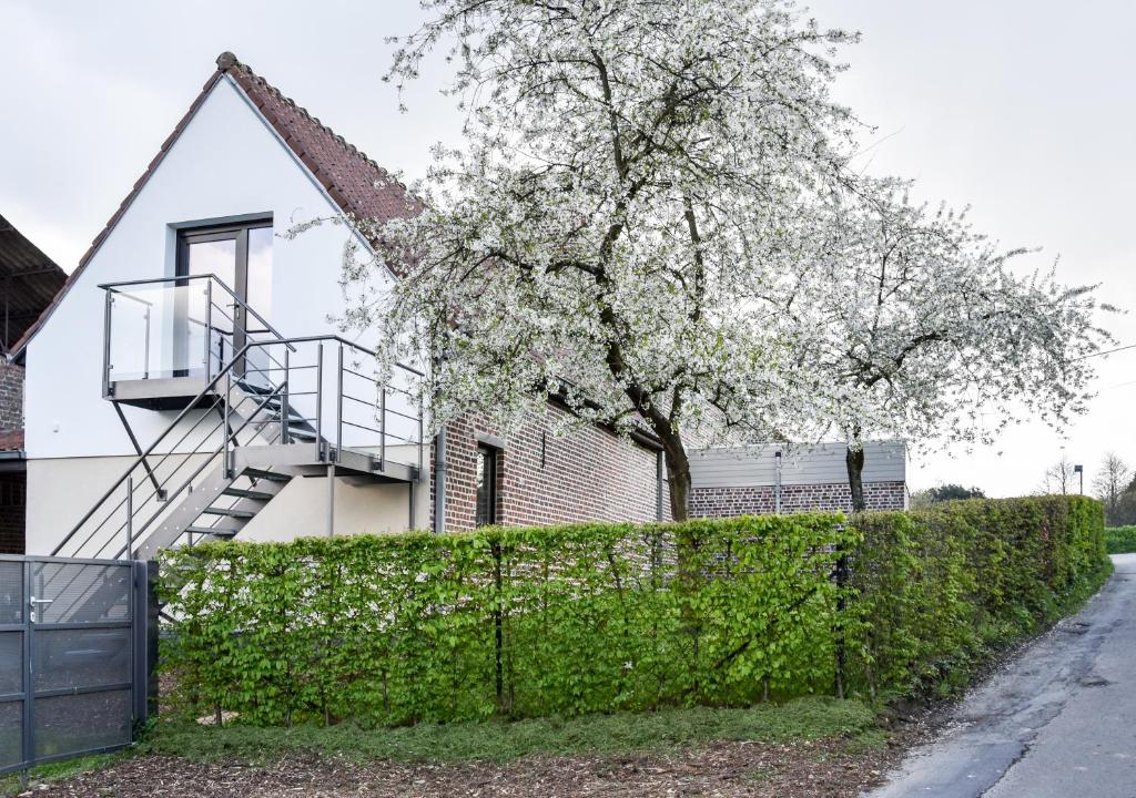 a house with a tree and a staircase at B&B Plattestien in Halle