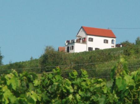 una casa blanca en la cima de una colina en Kellerstöckl Eisenberg/Pinka Weiner en Eisenberg an der Pinka