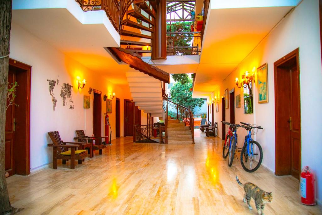 Fotografie z fotogalerie ubytování Kaliptus Hotel v destinaci Kemer