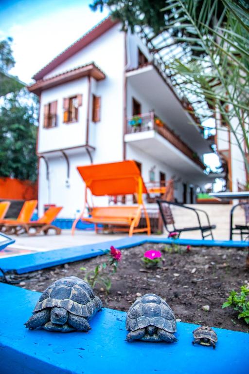 Zahrada ubytování Kaliptus Hotel
