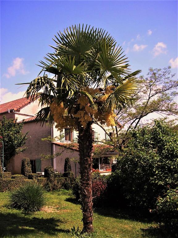 a palm tree in front of a house at LA FERME JARLAN in Berganty