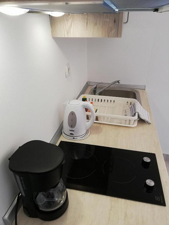Kuchyň nebo kuchyňský kout v ubytování Guesthouse Marija