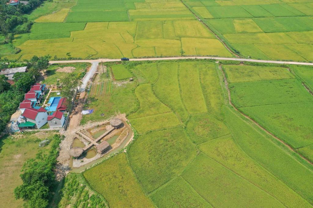 Palafita Bungalow - 7