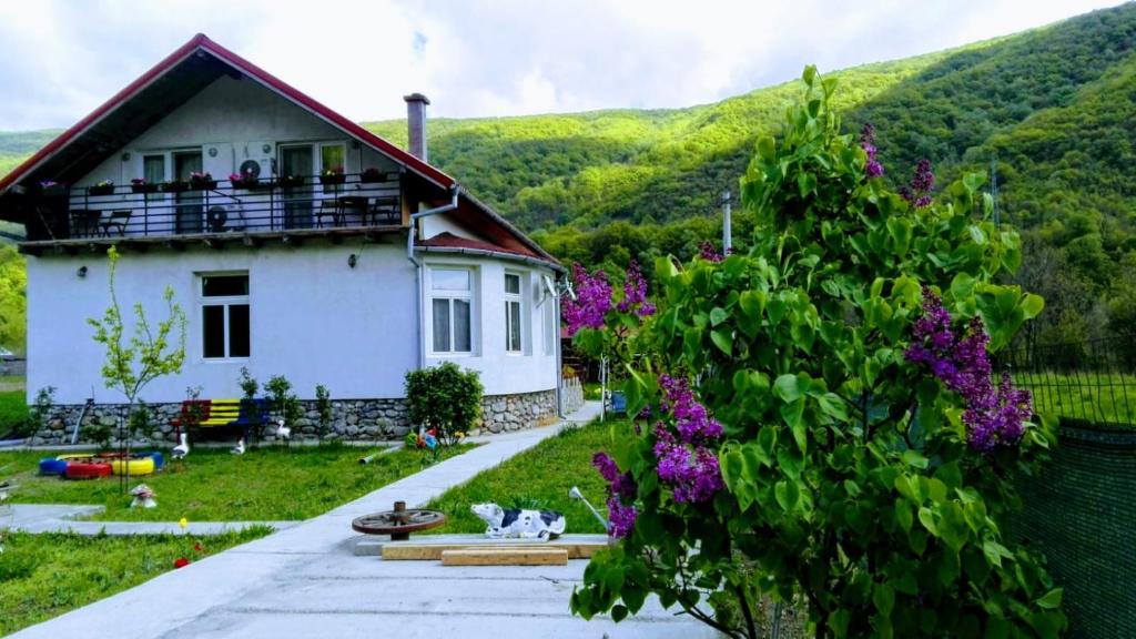 ein weißes Haus mit einem Balkon mit lila Blumen in der Unterkunft Vila di Pau in Băile Herculane