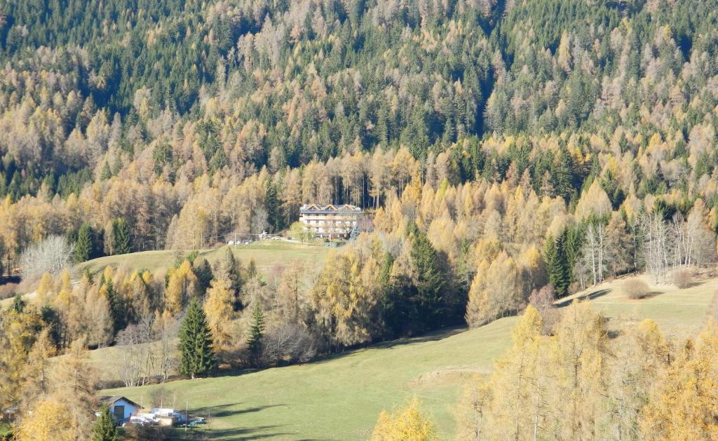 a house on a hill in the middle of a forest at Hotel Ganzaie in Daiano