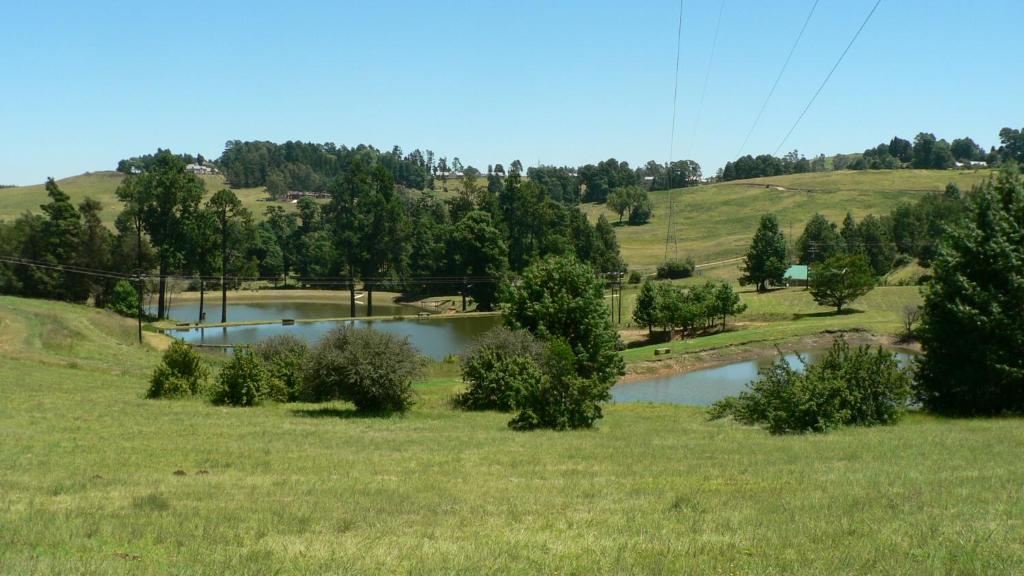 a field with a pond in the middle of a field at Troutbagger Farm in Nottingham Road