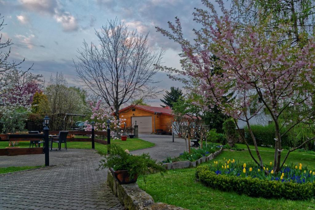 Zahrada ubytování Pension Am Kirschberg