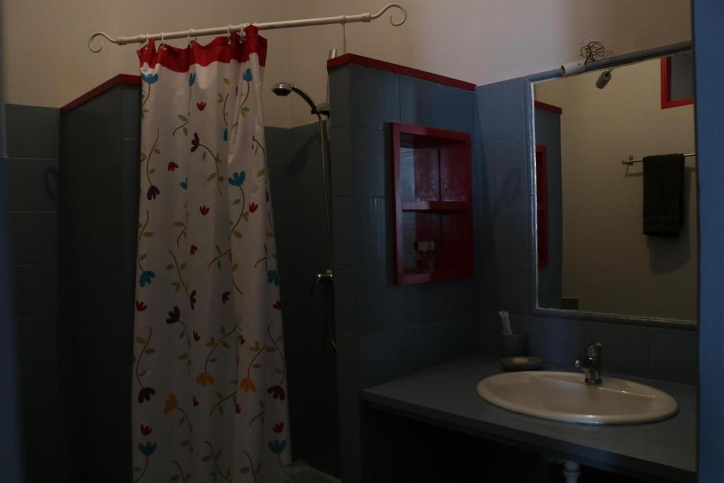 ein Bad mit einem Duschvorhang und einem Waschbecken in der Unterkunft Le Patio Gironnais in Saint-Girons