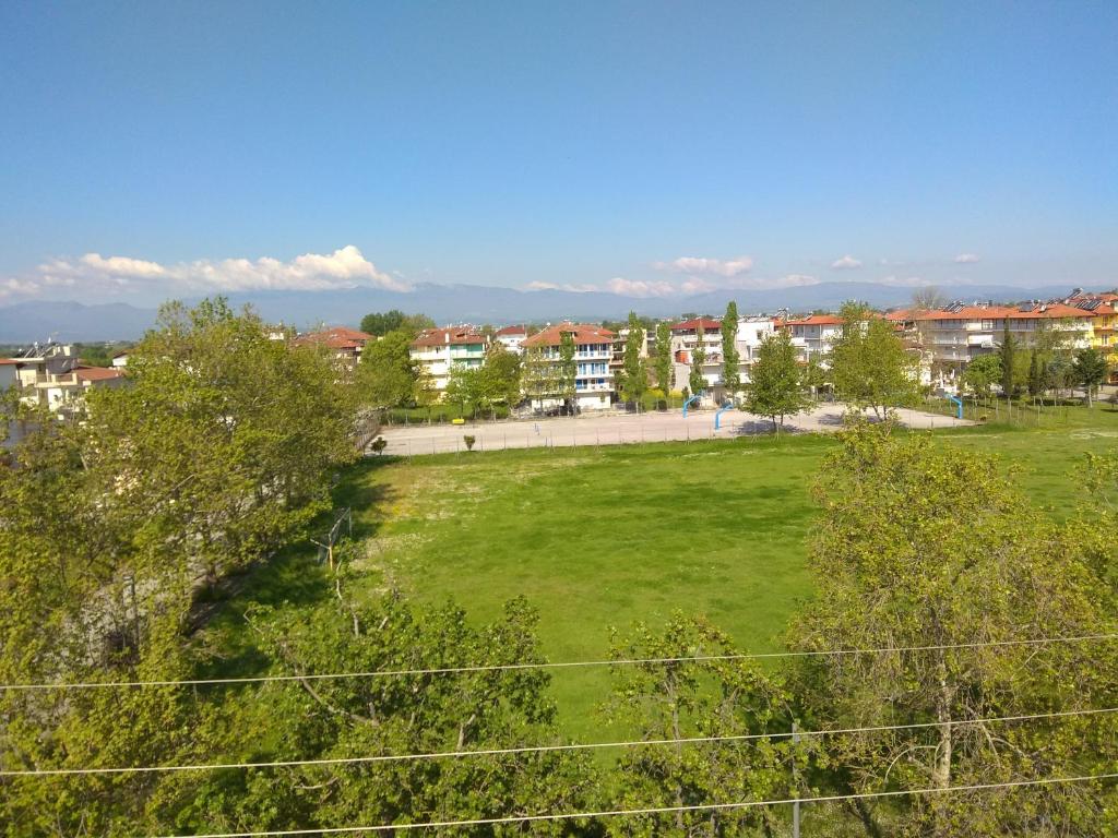 Příroda nedaleko hostelu
