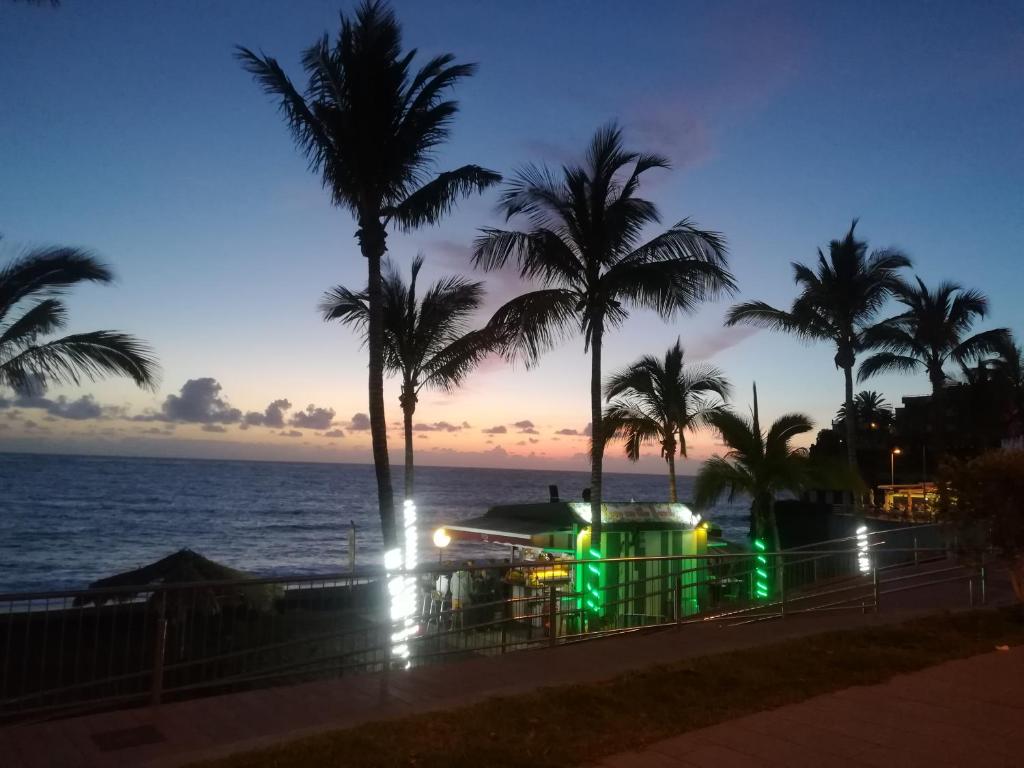 uma vista para a praia à noite com palmeiras em Mi apartamento Mini 2 em Puerto Naos