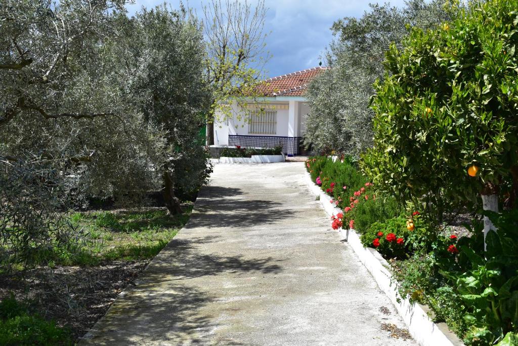 Vonkajšia záhrada v ubytovaní CASA RURAL ALEJO