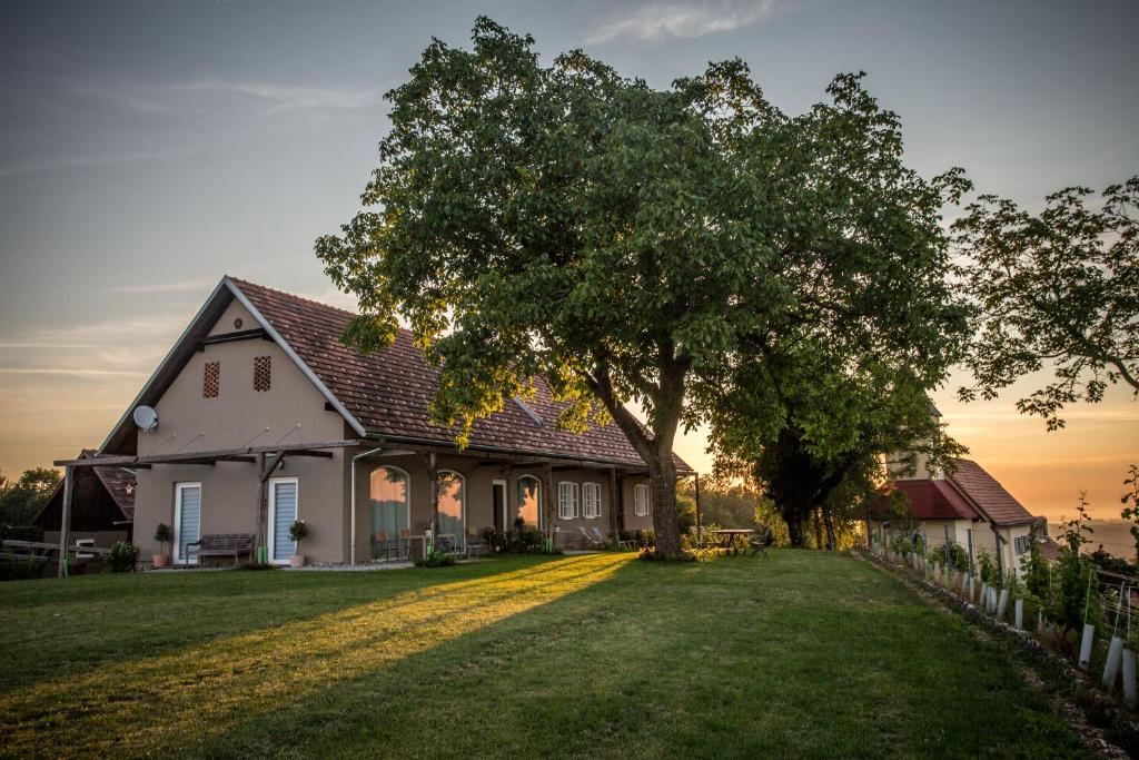 ein weißes Haus mit einem Baum im Hof in der Unterkunft Winzarei, Weingut Tement in Berghausen