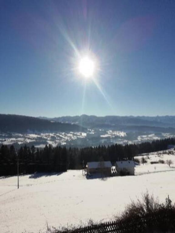 a snow covered field with the sun in the sky at Haus Homann in Sulzberg
