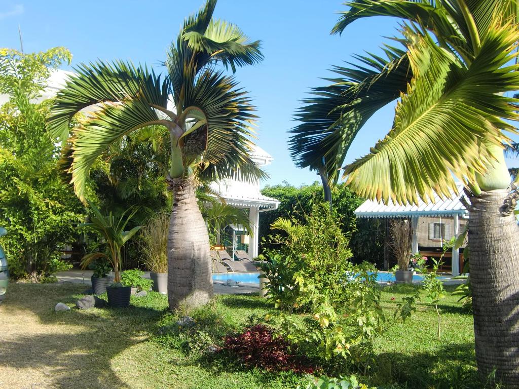 un grupo de palmeras frente a una casa en villa ambralini, en Saint-Pierre