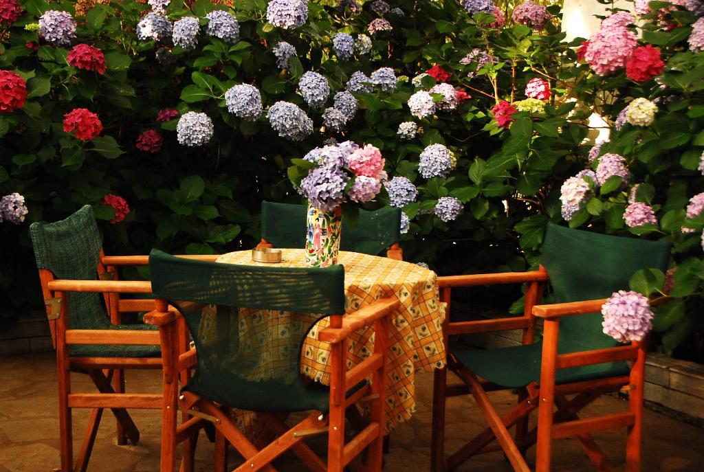 Fotografie z fotogalerie ubytování Parselia Rooms v destinaci Therma