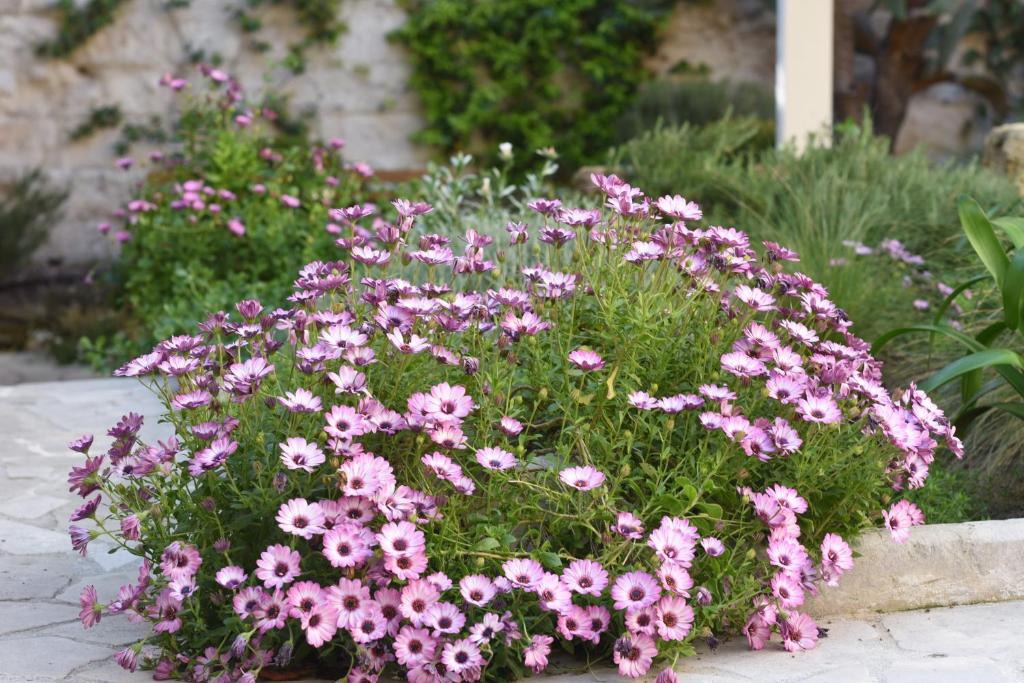 Zahrada ubytování Il Giardino Di Benedetta