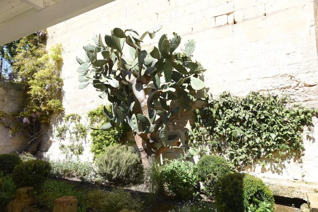 Zahrada ubytování Il Giardino Di Benedetta