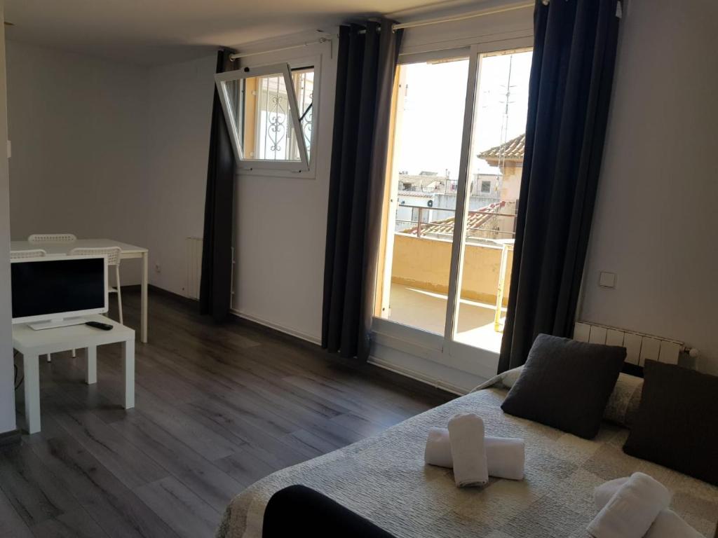 TV a/nebo společenská místnost v ubytování Hostal Termes