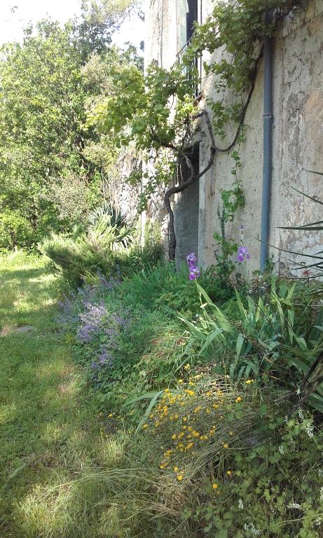 un jardin avec des fleurs dans l'herbe à côté d'un bâtiment dans l'établissement Mas Ferrieres Saint Laurent, à Saint-Laurent-le-Minier