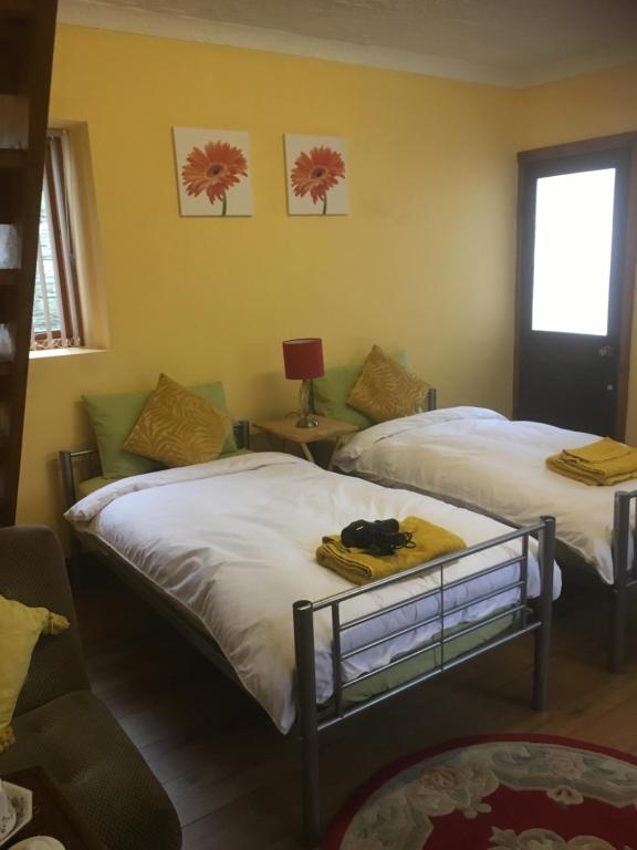 sypialnia z 2 łóżkami i oknem w obiekcie Heddfan w mieście Carmarthen