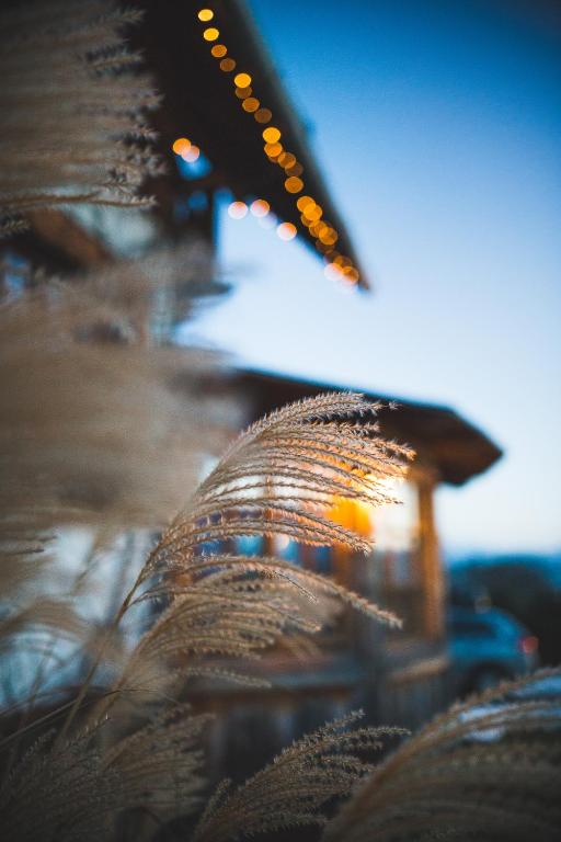 Fotografie z fotogalerie ubytování Gazdovský dvor B&B s Mini Wellness v Bešeňové