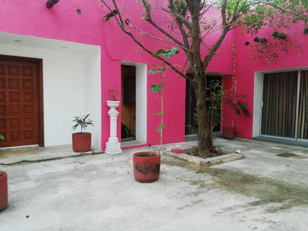 El edificio en el que está la casa de huéspedes
