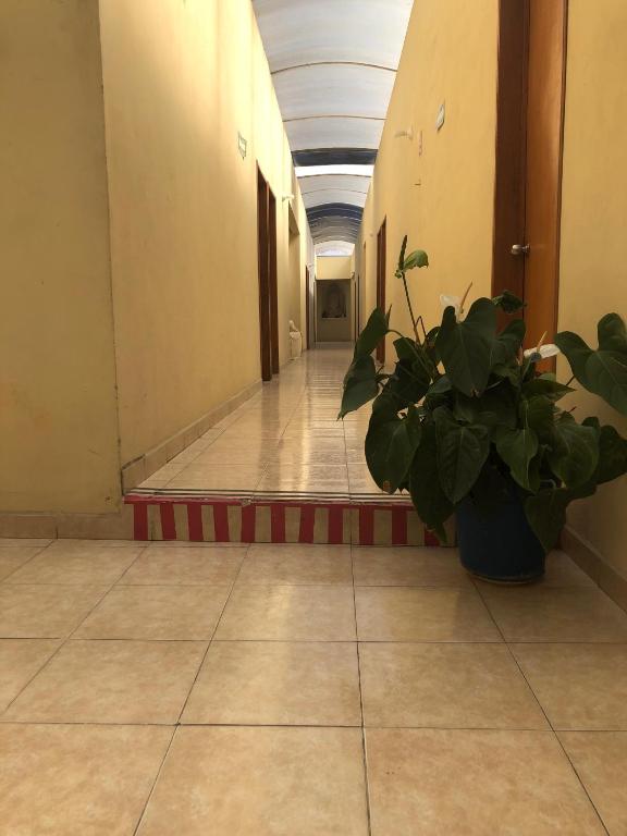 Hotel El Pacifico - Habitación Individual