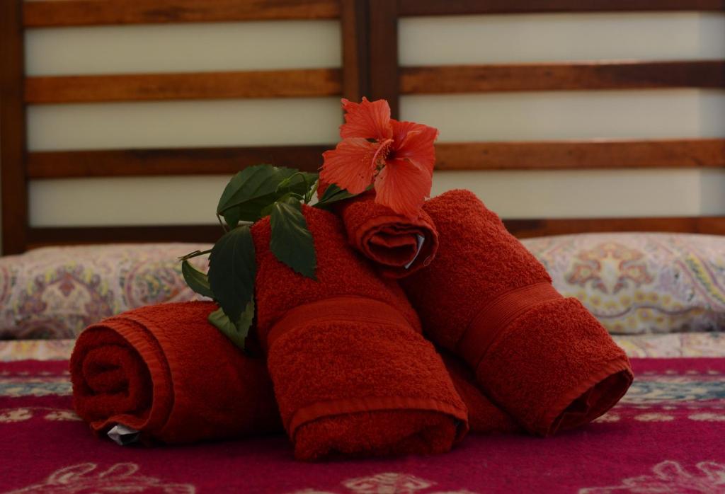 Fotografie z fotogalerie ubytování CASITA MADAME v destinaci Puerto López