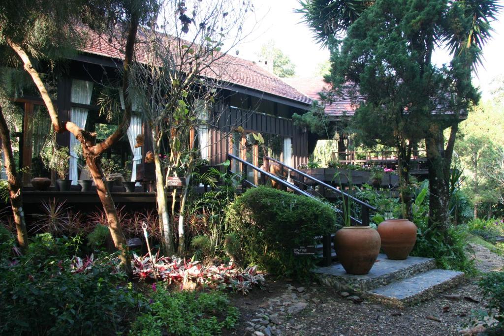 una casa con algunas plantas delante de ella en Villa Darakorn Hill Country House en Chiang Rai
