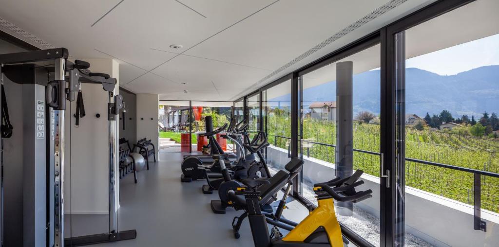 Fitness centrum a/nebo fitness zařízení v ubytování Hotel Gartner