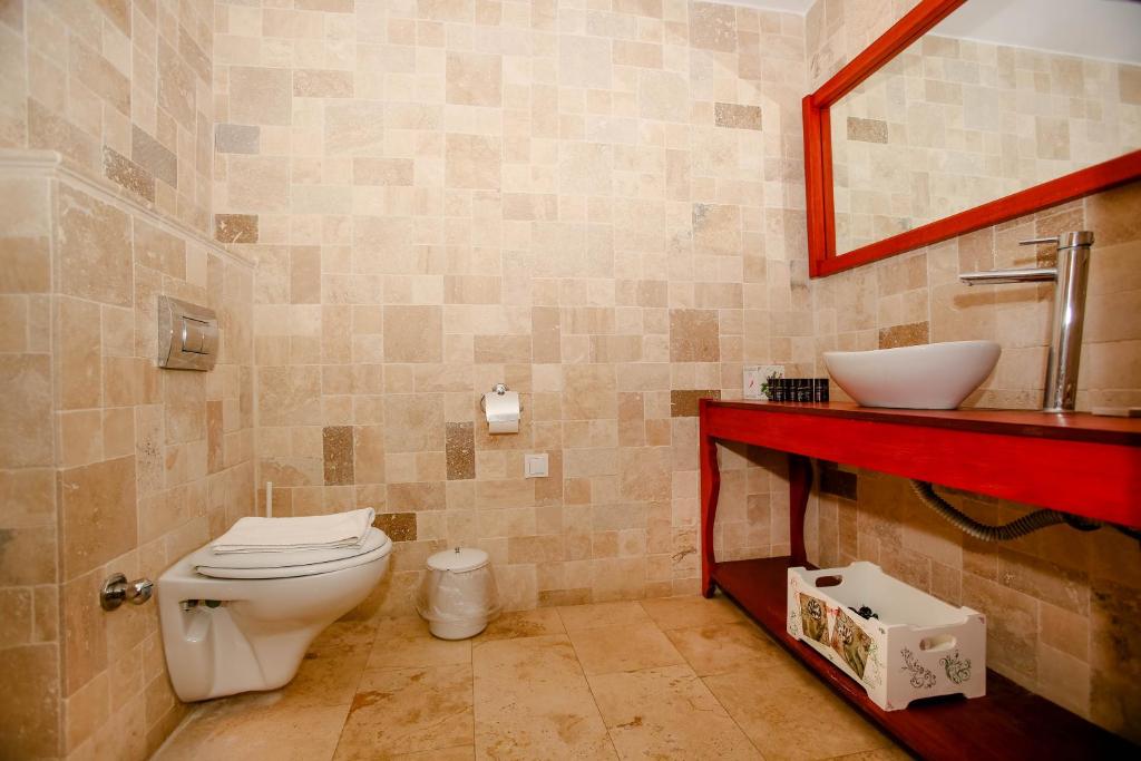 VINIFERA VINEYARDS HOTEL - 18