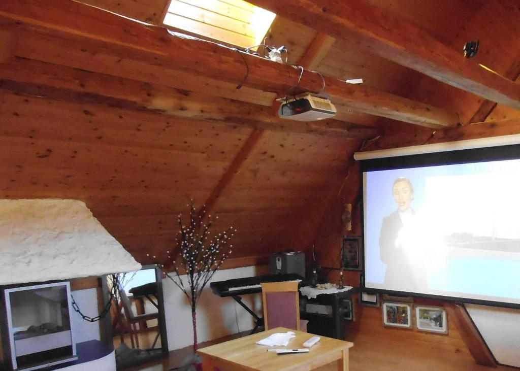 TV a/nebo společenská místnost v ubytování Hotel-Restaurant Don Pepe