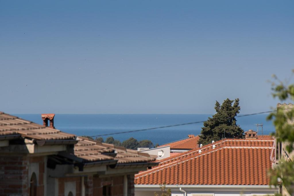 Príroda v okolí apartmánu