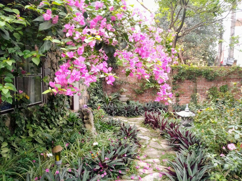 Mr. Viet home stay - 13