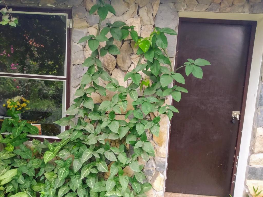 Mr. Viet home stay - 15