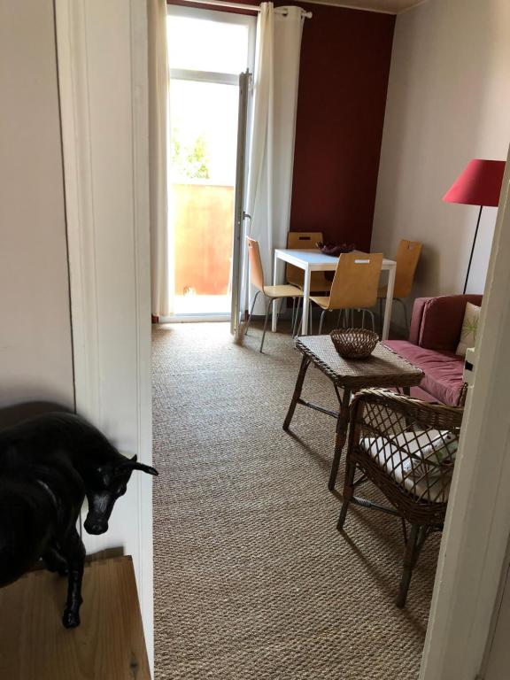 a dog standing in a living room looking at a living room at Appartement Hippolyte in Montpellier