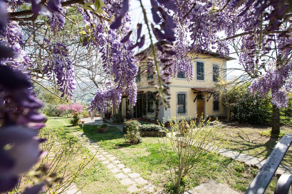 a house with purple flowering trees in front of it at Independent loft on Florence's hills in Fiesole