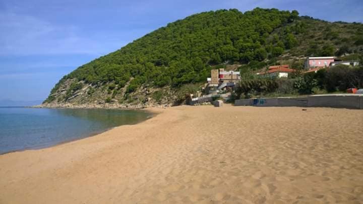 Príroda v okolí of the bed and breakfast