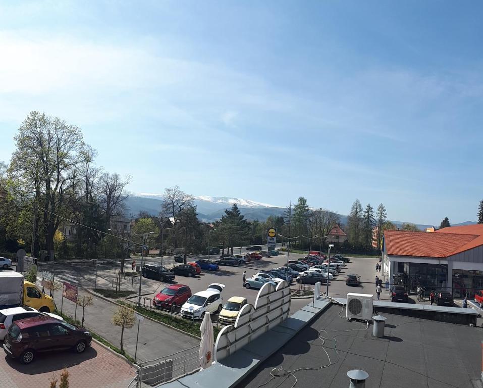 Fotografia z galérie ubytovania APARTAMENTY ORLE v destinácii Jelenia Góra