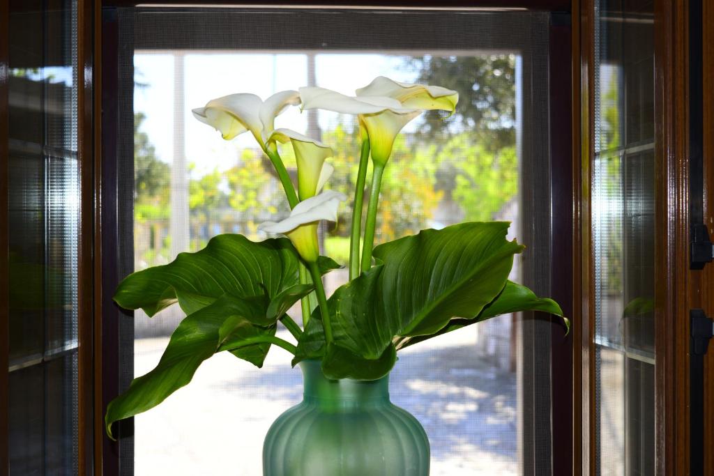a green vase with white flowers in a window at Gorgo Rinaldi - Locazioni brevi in Monopoli