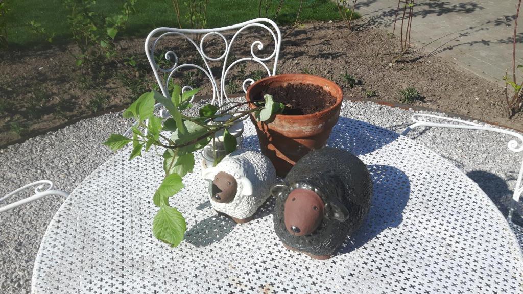 A garden outside TypisGistel