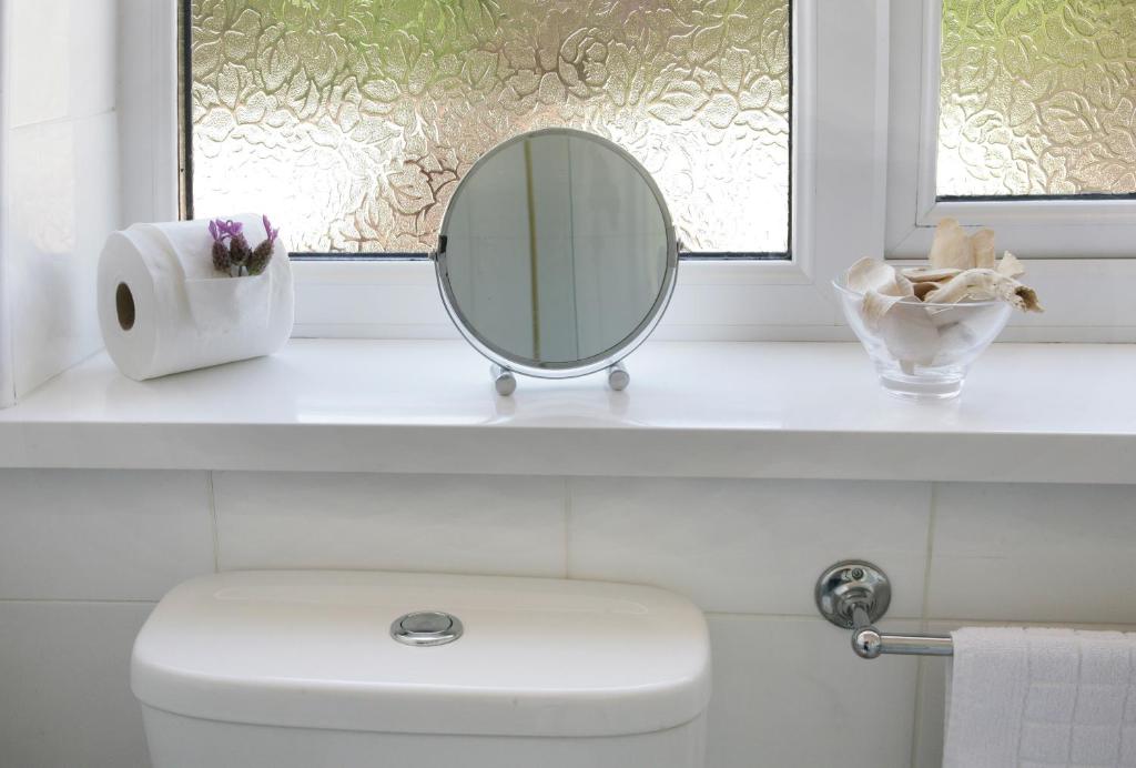 a mirror sitting on a shelf above a toilet in a bathroom at Elysian Fields B&B in Helston