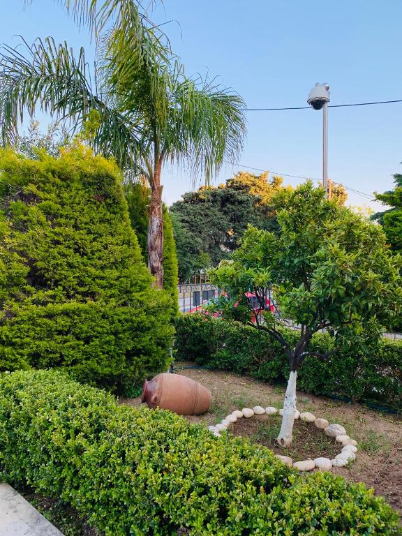 A garden outside Villa 56 Luxury apartments