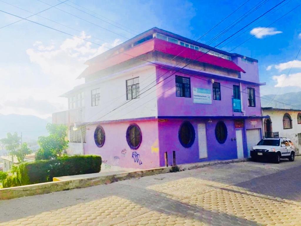 Amazing House of View