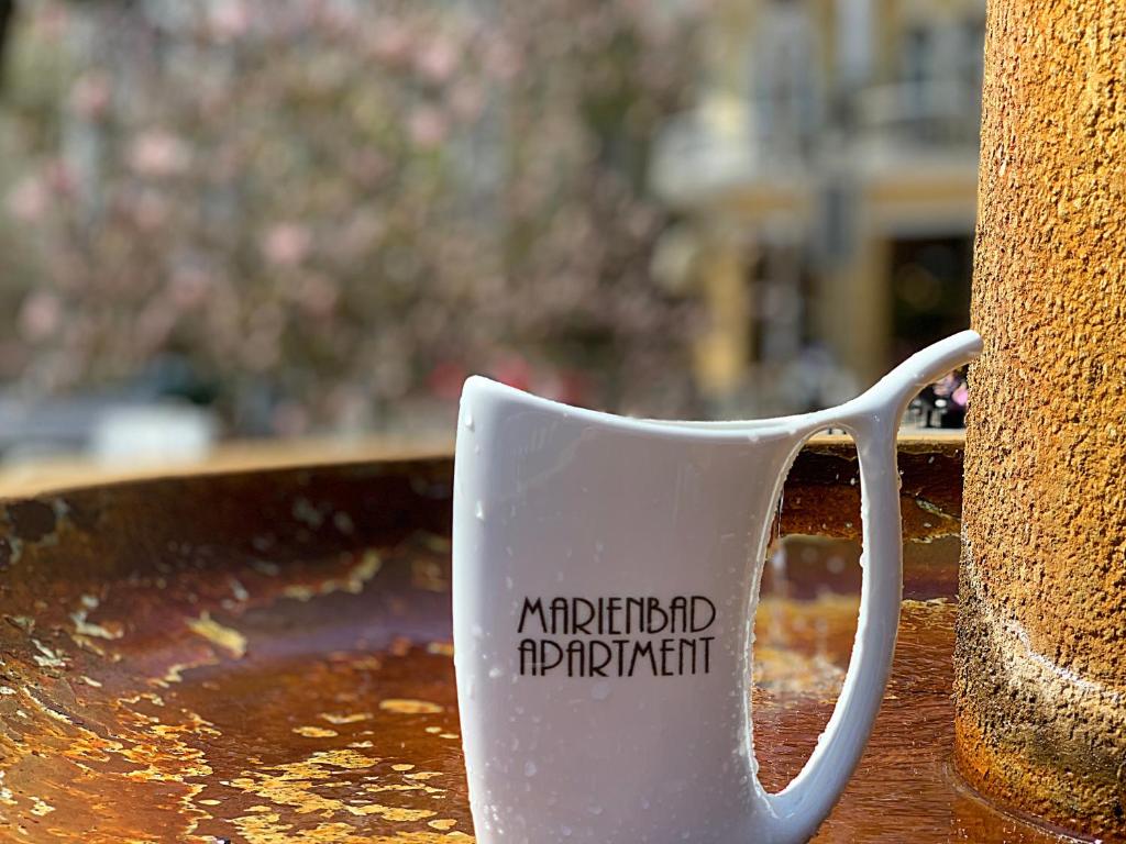 Zdjęcie z galerii obiektu Marienbad Apartment w Mariańskich Łaźniach