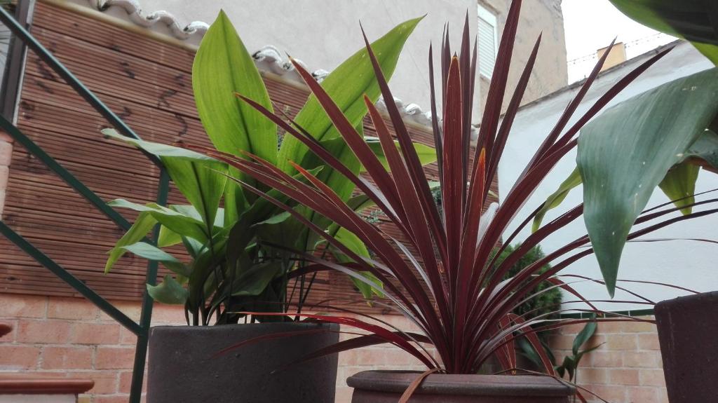 La Casa De Las Abuelas - 7