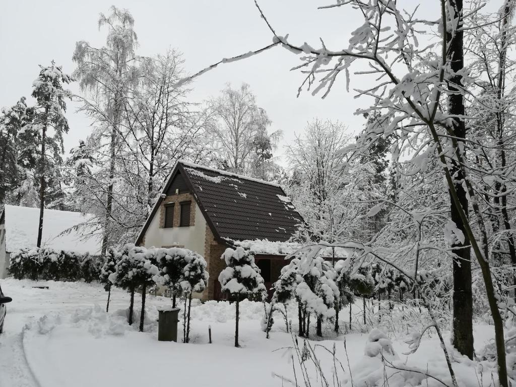 Fotografia z galérie ubytovania Uroczy domek do wynajęcia w Bogaczewie nad jeziorem Narie v destinácii Morąg