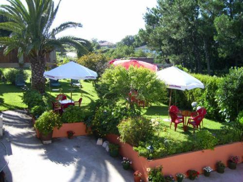 Zahrada ubytování Hotel Vimar