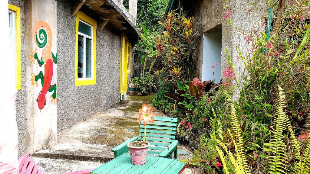 Zahrada ubytování Prince Valley Guesthouse