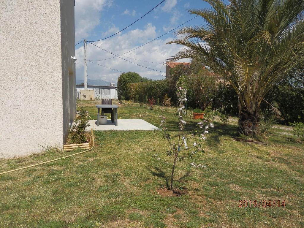 a garden with a palm tree and a grill at location vacances in Linguizzetta